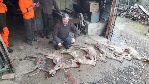 Battue aux chevreuil à Têtarêt le 10/02/2019