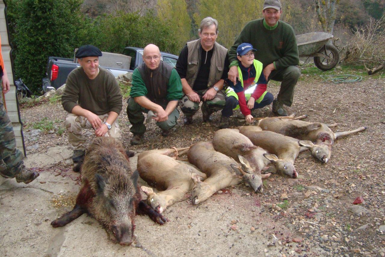 5 Chevreuils et un sanglier
